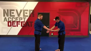 Brown Belt Test Review