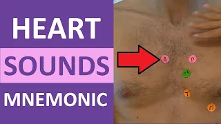 Heart Sounds Auscultation #shorts S1, S2 Nursing Assessment (aortic, pulmonic, tricuspid, mitral)