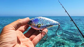 This New Lure Is Incredible!
