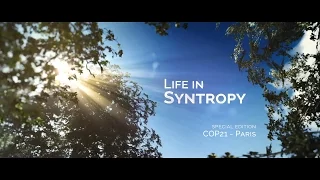 Life in Syntropy