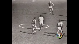 FNWB.com.au - Ted Whitten Snr - 1961 Grand Final vs Hawthorn