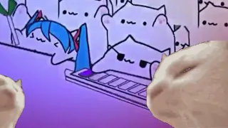 Cat Vibing to Bongo Cat Miku Ievan Polkka VSNS Remix FULL SONG - (Merry Christmas!)