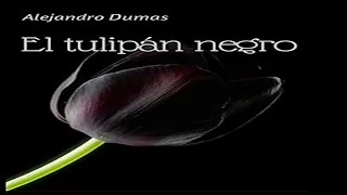 Resumen del libro El tulipán negro (Alejandro Dumas)