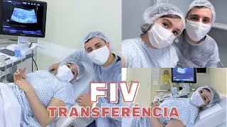 MINHA FIV: PREPARATIVOS E TRANSFERÊNCIA DE EMBRIÃO