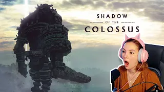 THIS IS SO EPIC // Shadow of the Colossus PS4 - Part 1