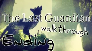 The Last Guardian Walkthrough Part 12 (PS4) No Commentary - Ending