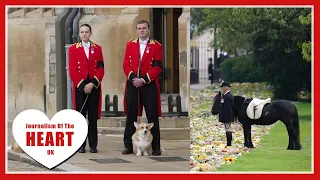 Photos: Queen Elizabeth's Corgis and Pony Were Part of Her Funeral