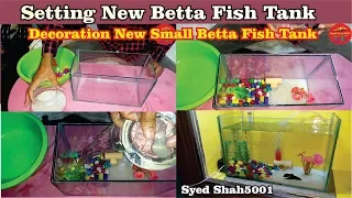 New Betta Fish Tank setup | how setup setup Small Planted Tank