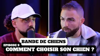 Comment choisir son chien ? BANDE DE CHIENS Ep9