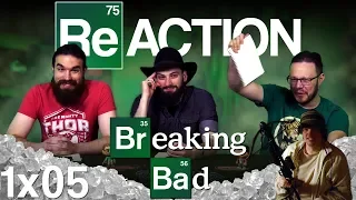 Breaking Bad 1x5 REACTION!! "Gray Matter"