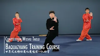 Learn Bagua - Baguazhang Training Course for Competition Wushu Taolu - Zong Weijie