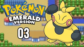 PROBLEMAS EM DEWFORD - Pokémon Emerald (Episódio 3) | Salvatore Games