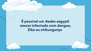 Tá com dúvida - O Aedes já nasce com dengue, Zika ou chikungunya?