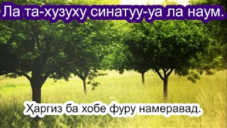 Хондани ин сура Ҳар субҳу шом шуморо аз шайтон дур мегардонад.