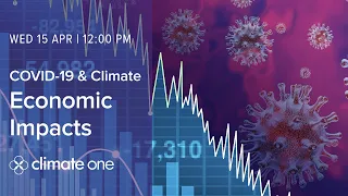 COVID-19 and Climate: Economic Impacts