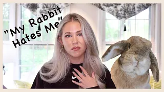 What to Do If Your Rabbit is Scared of You