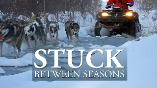 HUSKY TRAINING Between Seasons | SIBERIAN HUSKY Sled dogs in Lapland