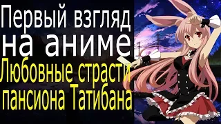 Первый взгляд на аниме - Любовные страсти пансиона Татибана