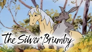 The Silver Brumby - Episode 10 | A Wombat on the Road | HD | Full Episode | Cartoons For Kids