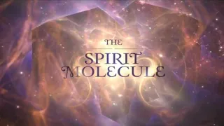 DMT Молекула духа # Spirit Molecule