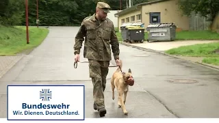 Vom Welpen zum Diensthund der Bundeswehr Teil 5 / 5