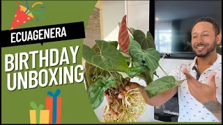 Ecuagenera Birthday Unboxing! #ecuagenera