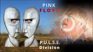 Pink Floyd  - The Division Bell Live (Video Album)