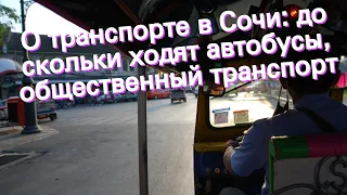 О транспорте в Сочи: до скольки ходят автобусы, общественный транспорт