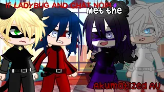 If Ladybug and Chat Noir met their Akumatized Selves || ft. Chat Blanc & Princess Justice || (MLB)