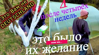 #19 Сбежали из Германии (и...) мы не видели детей целый месяц!.. Жизнь - как она есть.