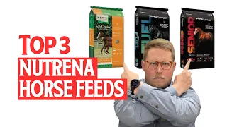 Top 3 Nutrena Horse Feeds