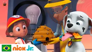 Patrulha Canina | Os filhotes encontram uma nova casa para as abelhas! | Nick Jr. em Português