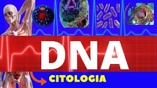 DNA - ESTRUTURA E FUNÇÃO - ÁCIDOS NUCLEICOS - O QUE É DNA - CITOLOGIA - ENSINO SUPERIOR