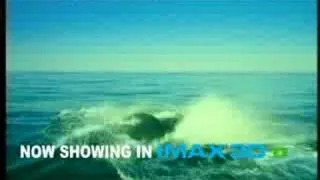 Wild Oceans 3D at Imax Melbourne