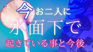 手こずった回の方ごめんなさい。お二人のこと紐解きました😌🦋〔ツインレイ🔯霊感霊視チャネリング🔮サイキックリーディング〕