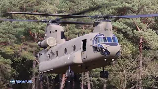 Chinook helicopter is playing hide and seek in the woods
