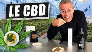 LE CBD : NOUVELLE ARME CONTRE LE SURPOIDS ET L'OBÉSITÉ ?