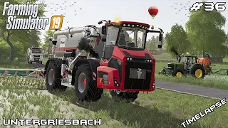 Spreading slurry with BLUNK | Animals on Untergriesbach | Farming Simulator 19 | Episode 36