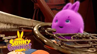 Conejitos musicales | Las Aventuras de Sunny Bunnies | Dibujos para niños