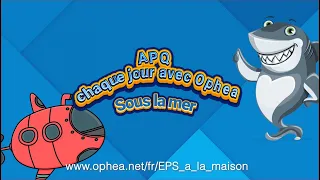 APQ chaque jour avec Ophea : Sous la mer
