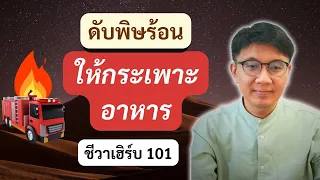 กระเพาะอาหาร ร้อน อักเสบ ปรับอย่างไร ? - ชีวาเฮิร์บ 101