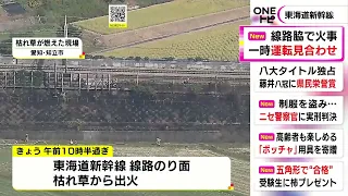 東京-新大阪間の上り等で一時運転見合わせ…東海道新幹線の線路の法面で火事 枯草約500平方mが燃える