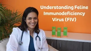 Understanding Feline Immunodeficiency Virus (FIV)