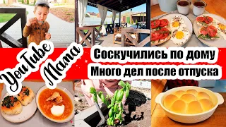 МНОГО ДЕЛ ПОСЛЕ ОТПУСКА 🏡◾ ЗАКУПКА ПРОДУКТОВ 🍗🥖🍅◾ КРАСОТА НА ТЕРРАСЕ 😍◾ ПОСАДИЛА ОГУРЦЫ И БАЗИЛИК 🌱