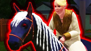 The Sims 3 but we survive by trespassing on stragers' houses