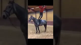 С коня сбросился?