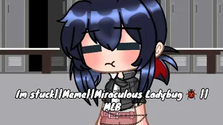 Im Stuck||Meme||MLB||Miraculous Ladybug 🐞 ||