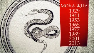 Moha җил (год Змеи) Астрологический прогноз на 2024 год