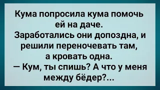 Кум с Кумой на Даче! Сборник Свежих Анекдотов! Юмор!