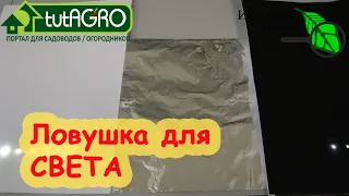 КАК СЭКОНОМИТЬ НА ПОДСВЕТКЕ РАССАДЫ? Не сеять рано и... СЛОВИТЬ СВЕТ! Лучшие отражатели света.